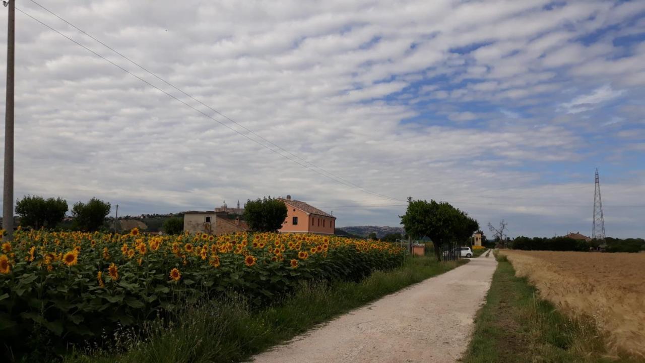 La Dolce Vita Porto Recanati Exterior photo